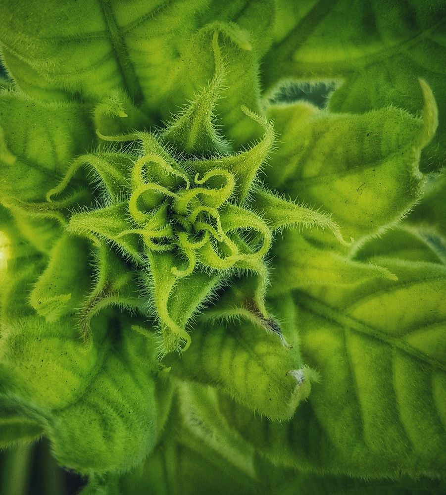 Фотография автора reyhane  khavaninzadeh