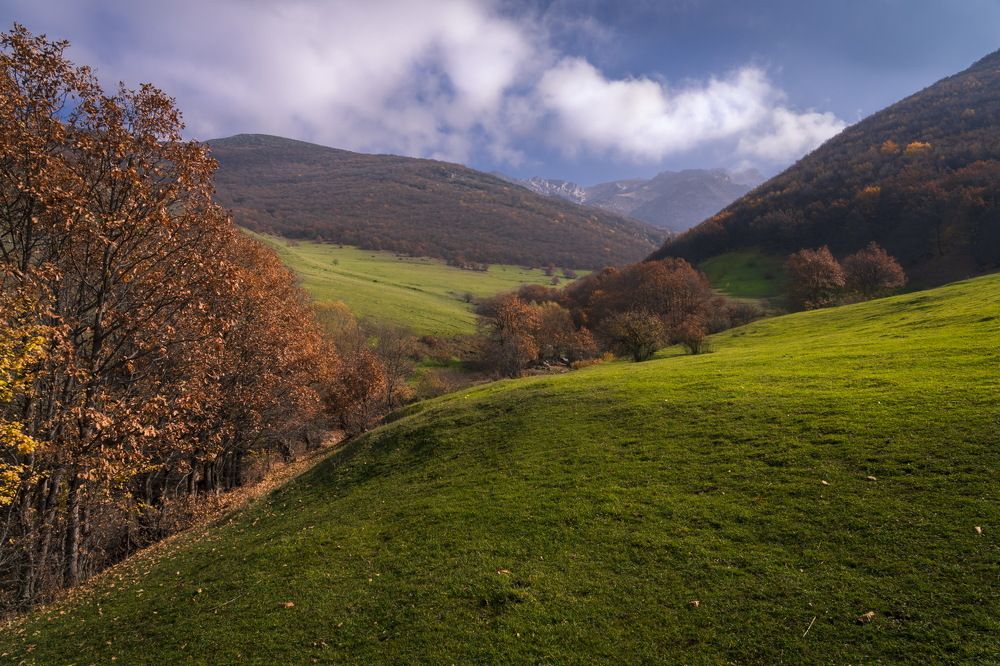 Photograph by majid hashemi