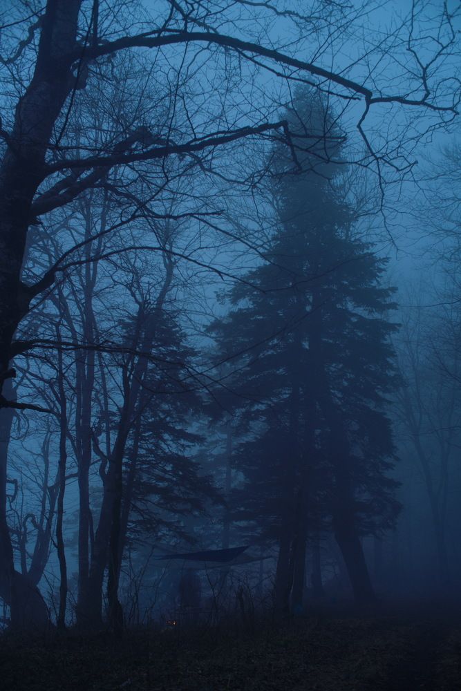 Фотография автора Медведев Сергей