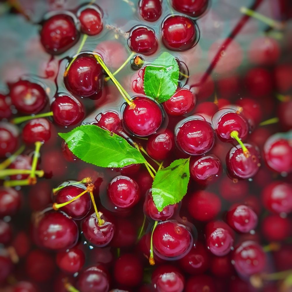 Фотография автора reyhane  khavaninzadeh