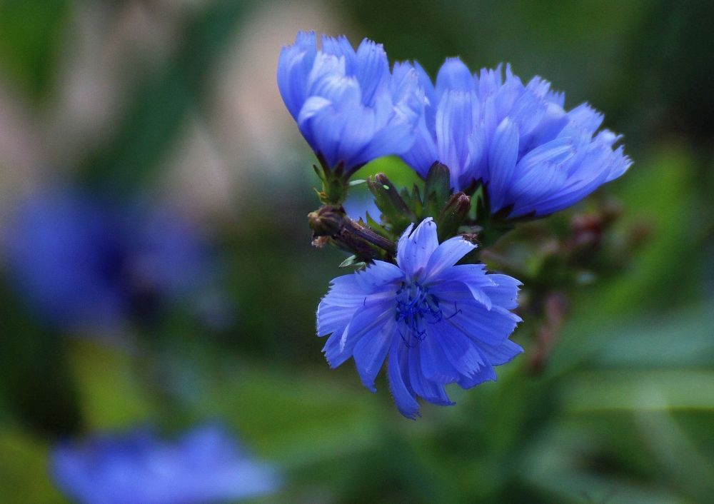 Photograph by Наталия Васильева