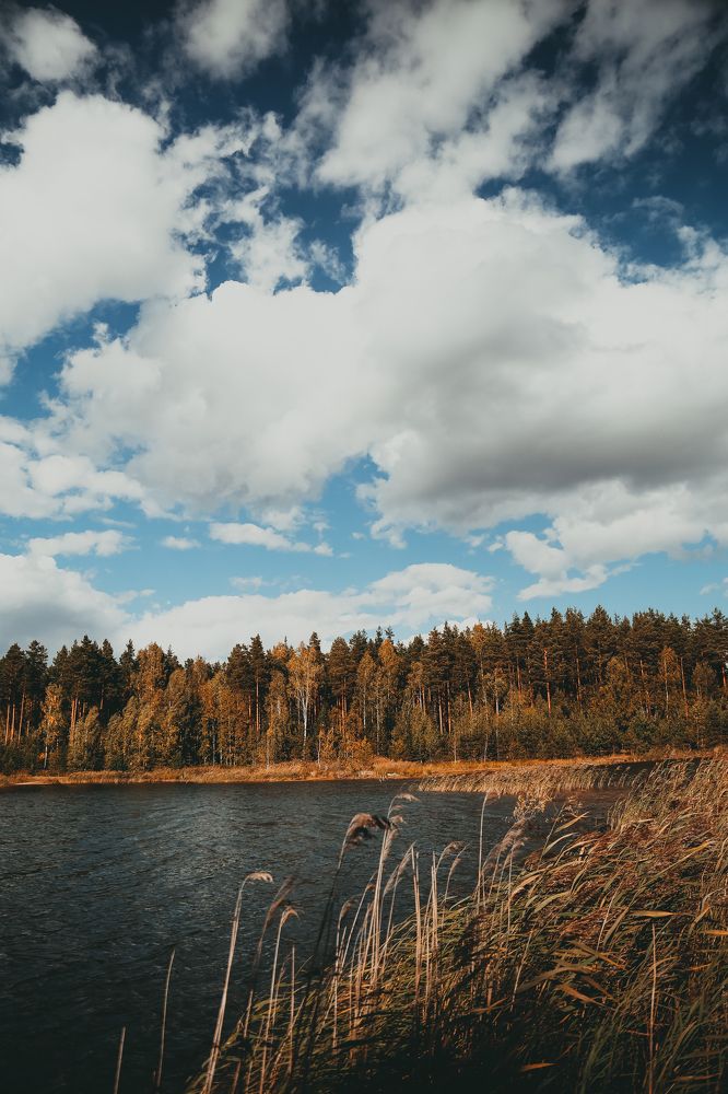 Photograph by Елена Буканина