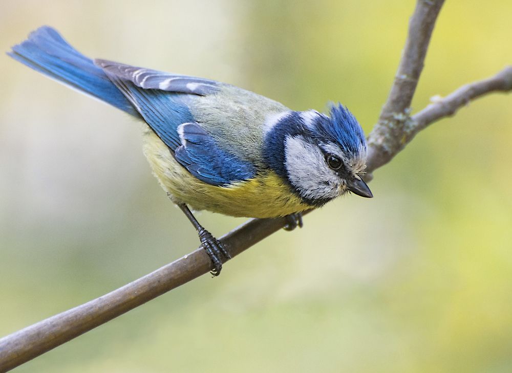 Photograph by Олег Тыркин