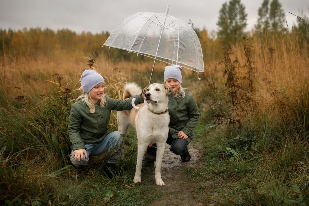 Photograph by Светлана Фролова