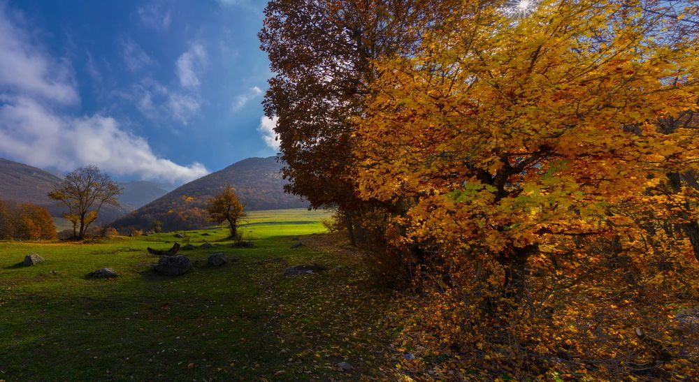 Photograph by majid hashemi