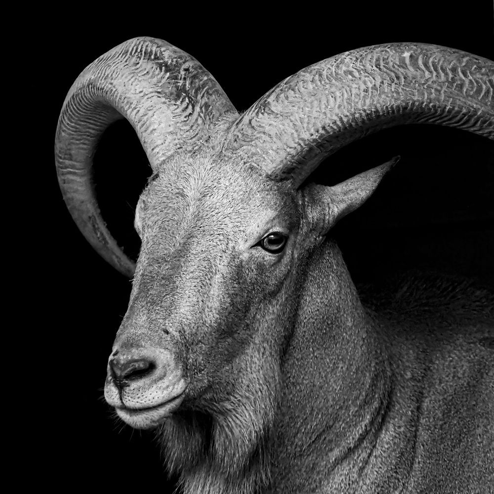 Photograph by Слави Котаров