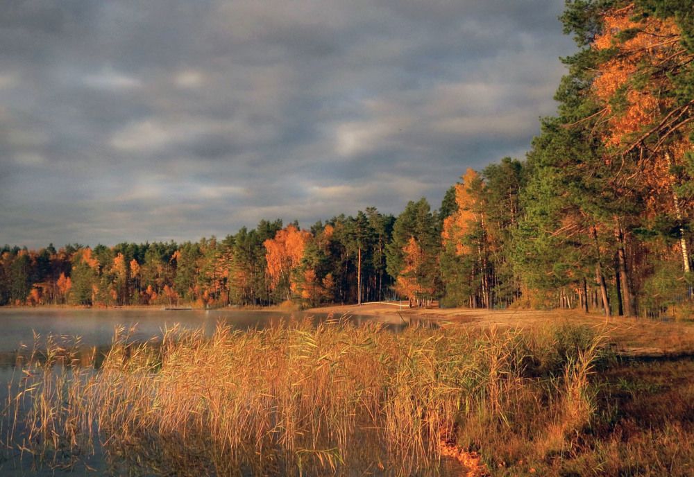 Photograph by Наталия Васильева