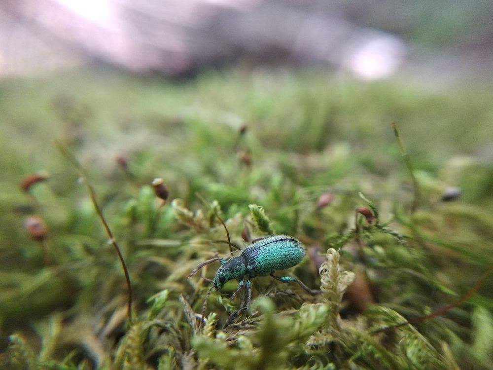 Photograph by Ирина Чагина