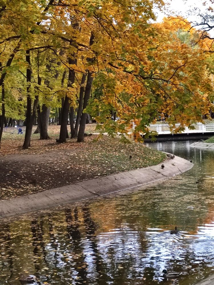 Photograph by Светлана Холодова