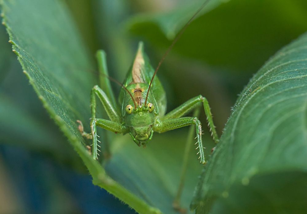 Photograph by Олег Тыркин