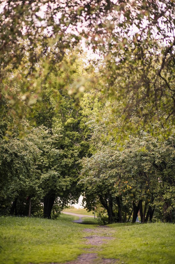 Photograph by Анна Лазарева