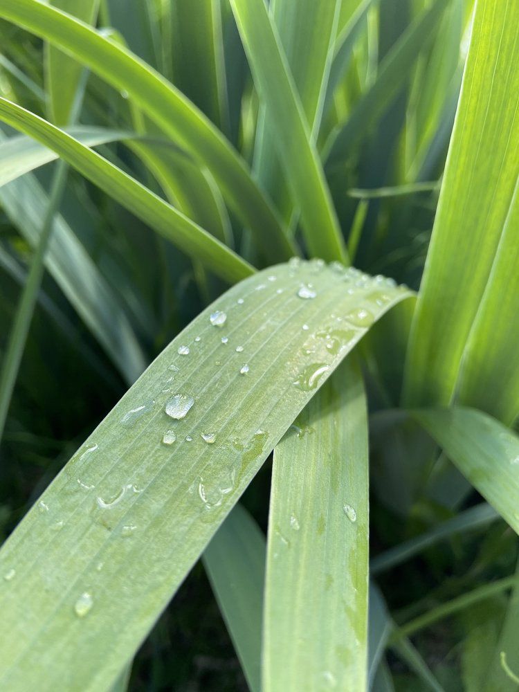 Photograph by Анна Лазарева