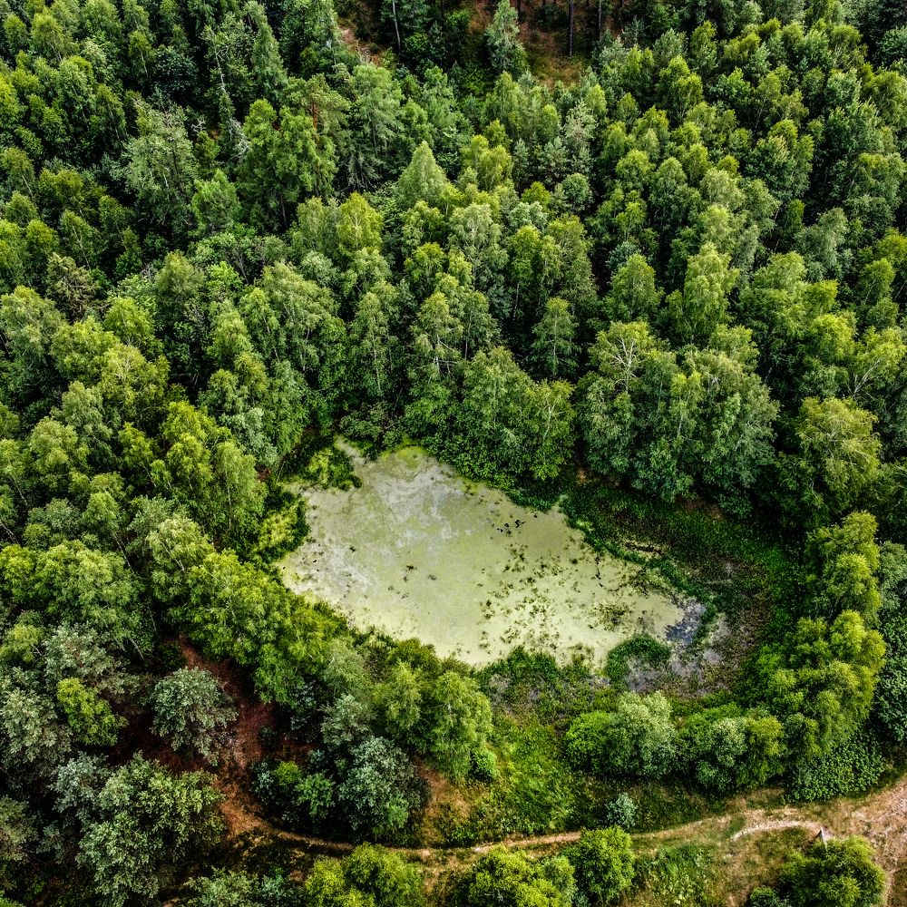 Photograph by АНДРЕЙ АБАКУМОВ