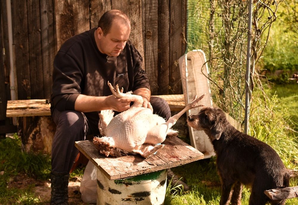 Photograph by Татьяна Абабкова