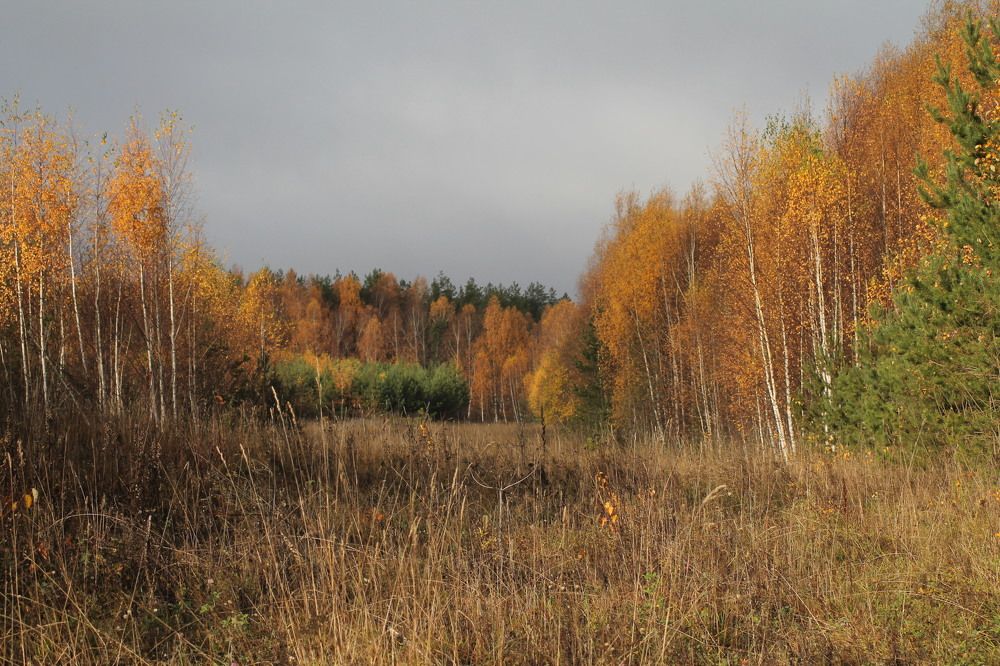 Photograph by Людмила Павловна