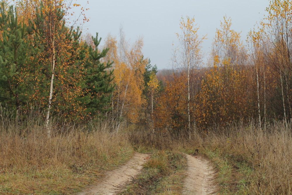 Photograph by Людмила Павловна