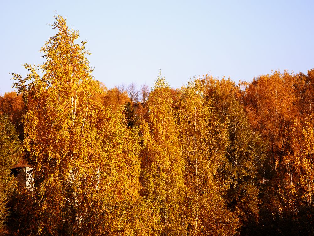 Photograph by Татьяна Кучерова