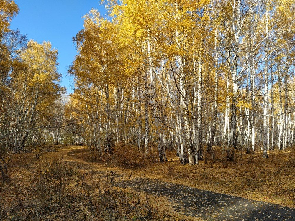 Photograph by Владислав Д