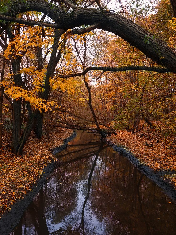 Photograph by Дмитрий Потапов