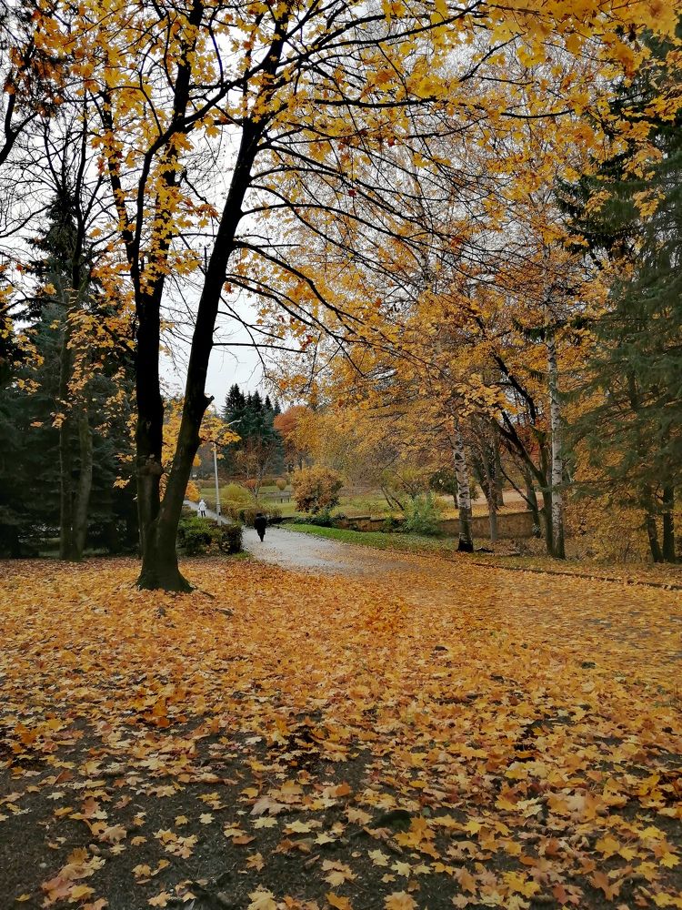 Photograph by Марина