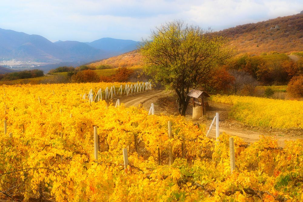 Photograph by Дмитрий Потапов