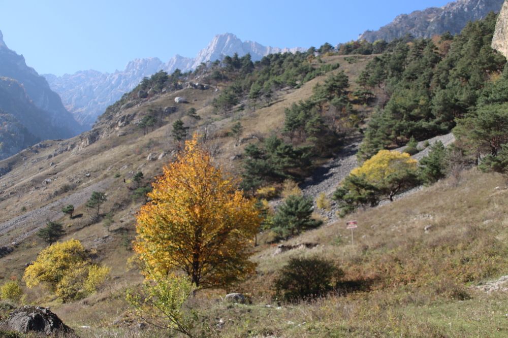 Photograph by Марина