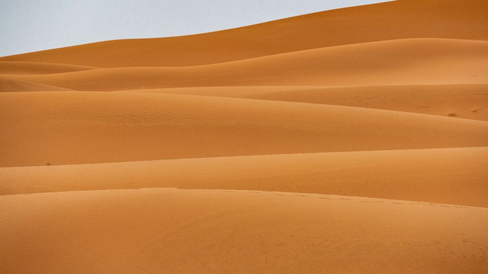 Photograph by Дмитрий Ильин