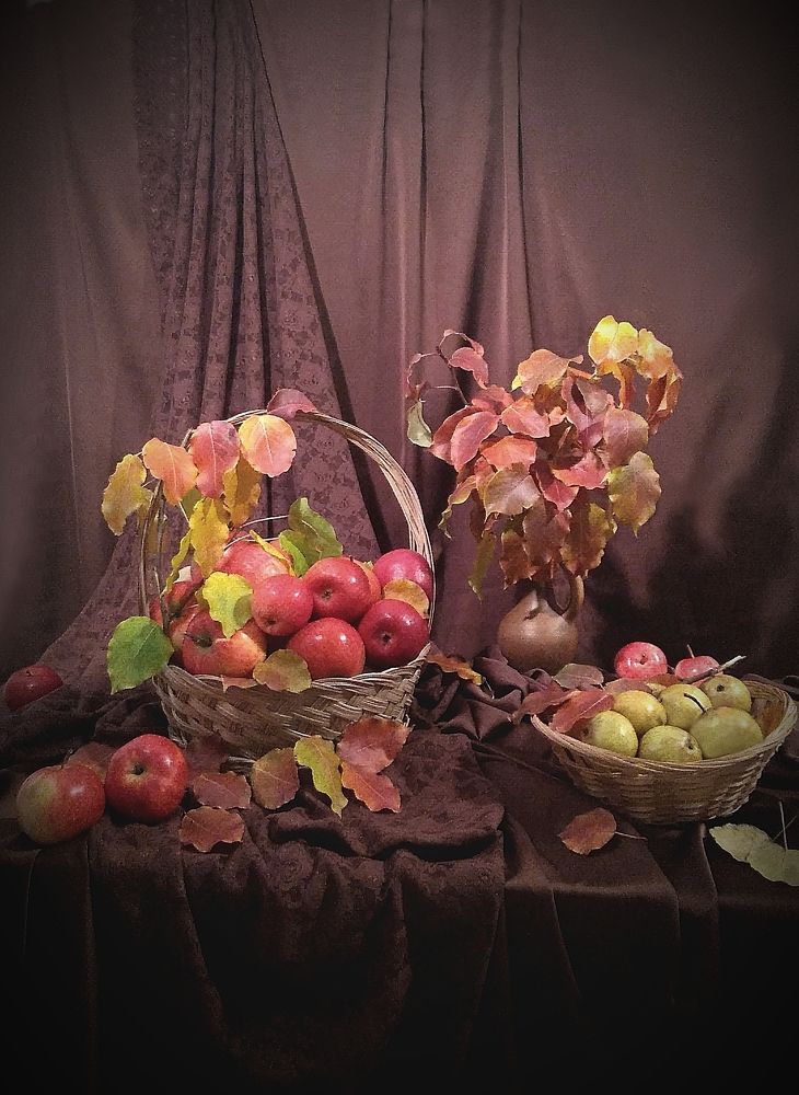 Photograph by Виолетта Рябова