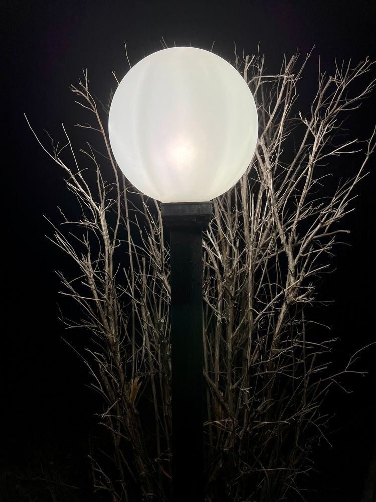 Photograph by Алексей Романов