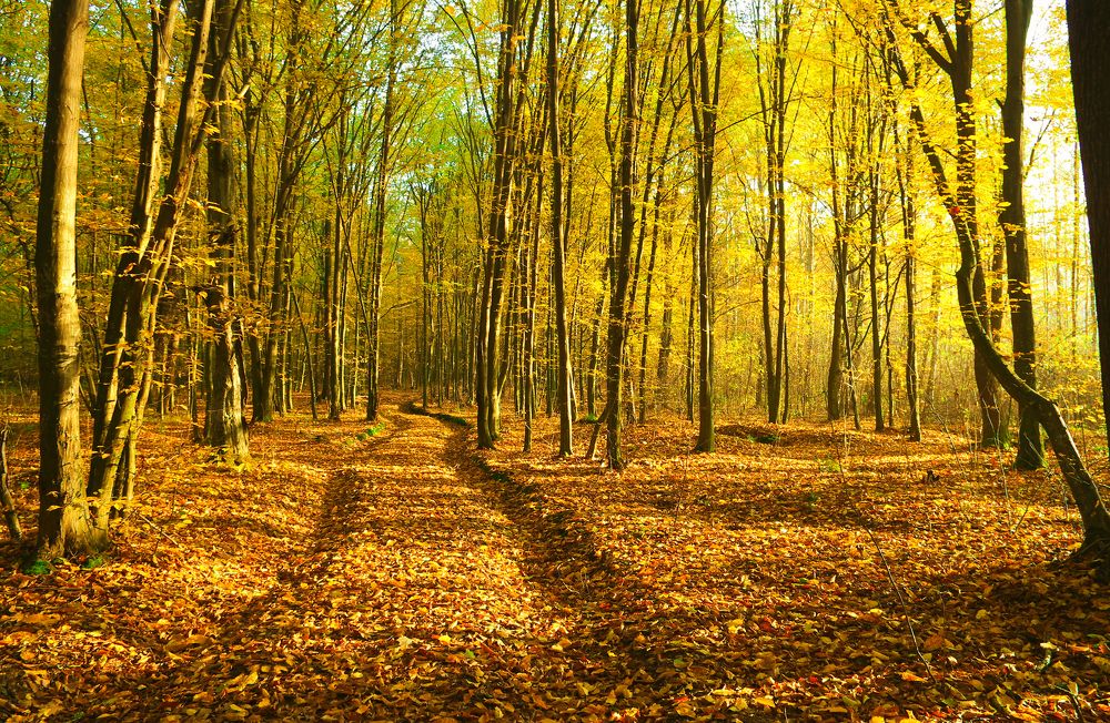 Photograph by Андрей