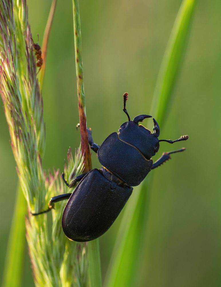 Photograph by Андрей Бурда
