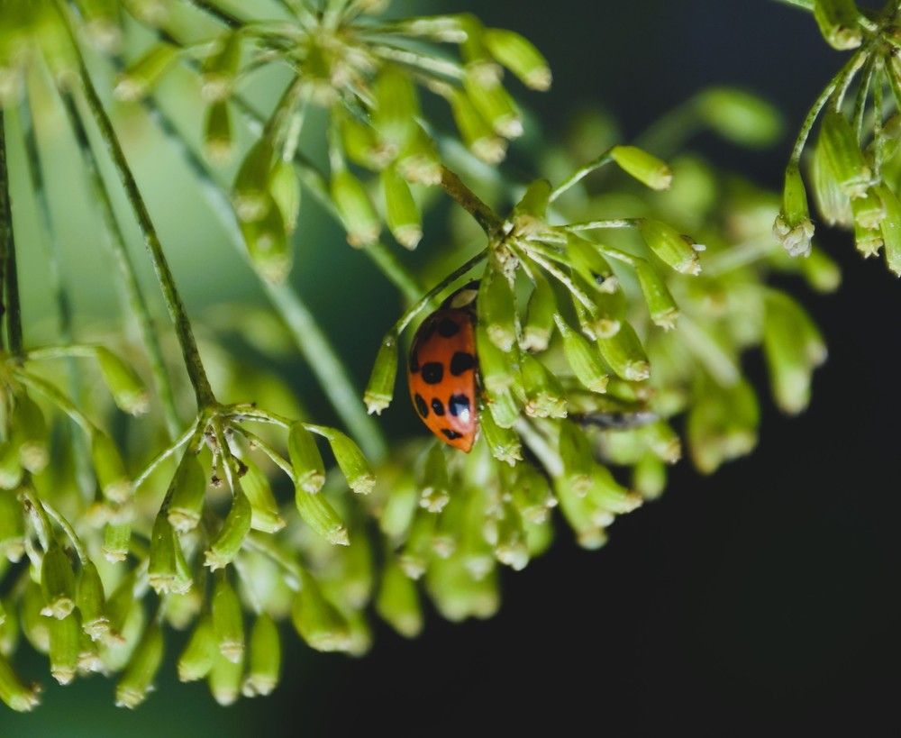 Фотография автора Альбина Хвастунова