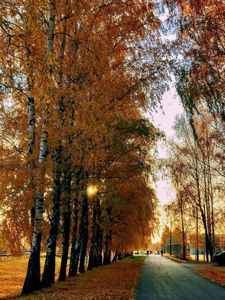 Photograph by Елена Сиушова