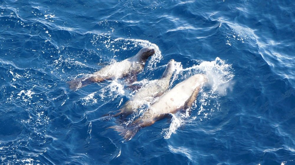 Photograph by Ирина Гаврилова