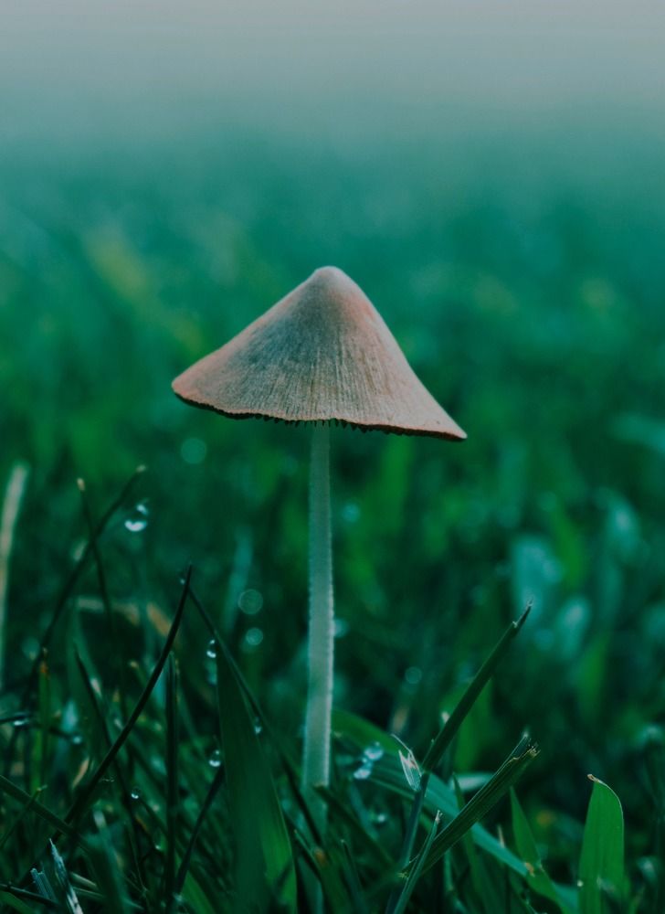 Photograph by Gargee Chowdhury