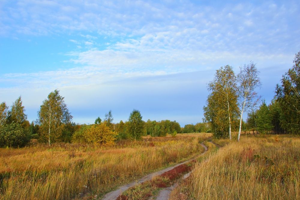 Photograph by Сергей Морозов