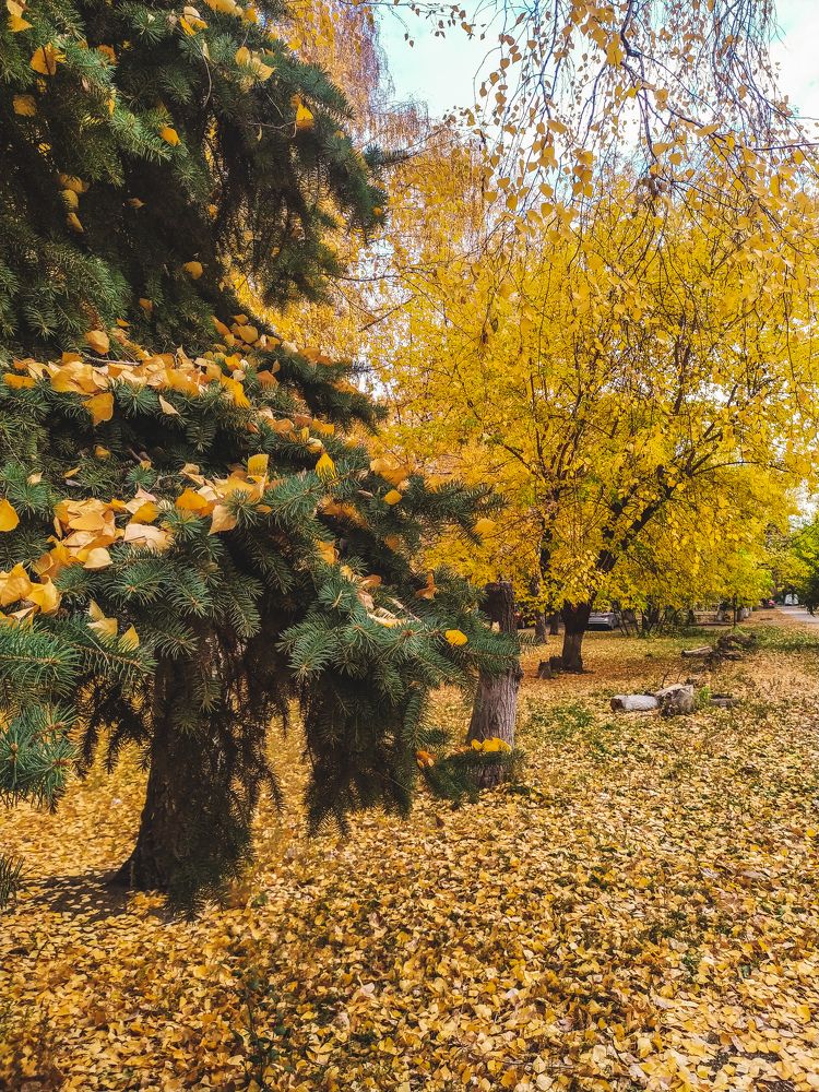 Фотография автора Юлия Гантимурова