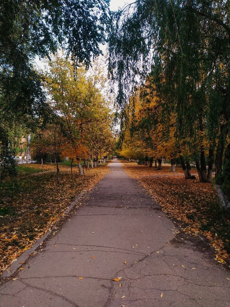 Фотография автора Юлия Гантимурова