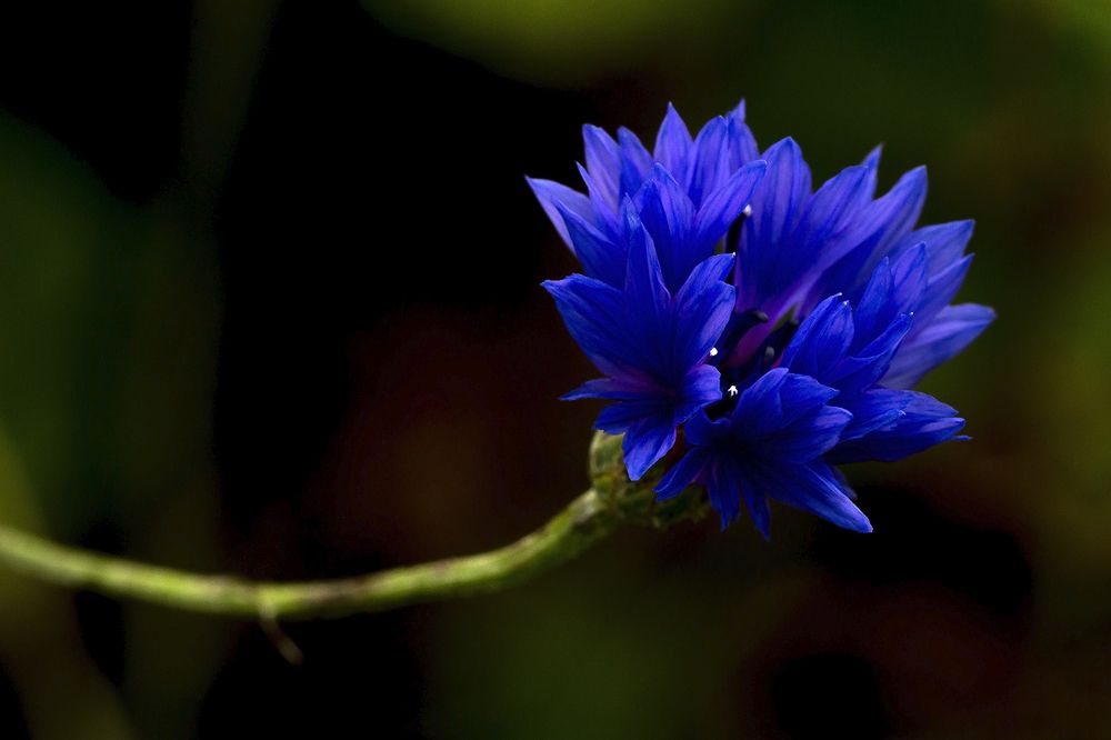 Photograph by Олег Тетерин