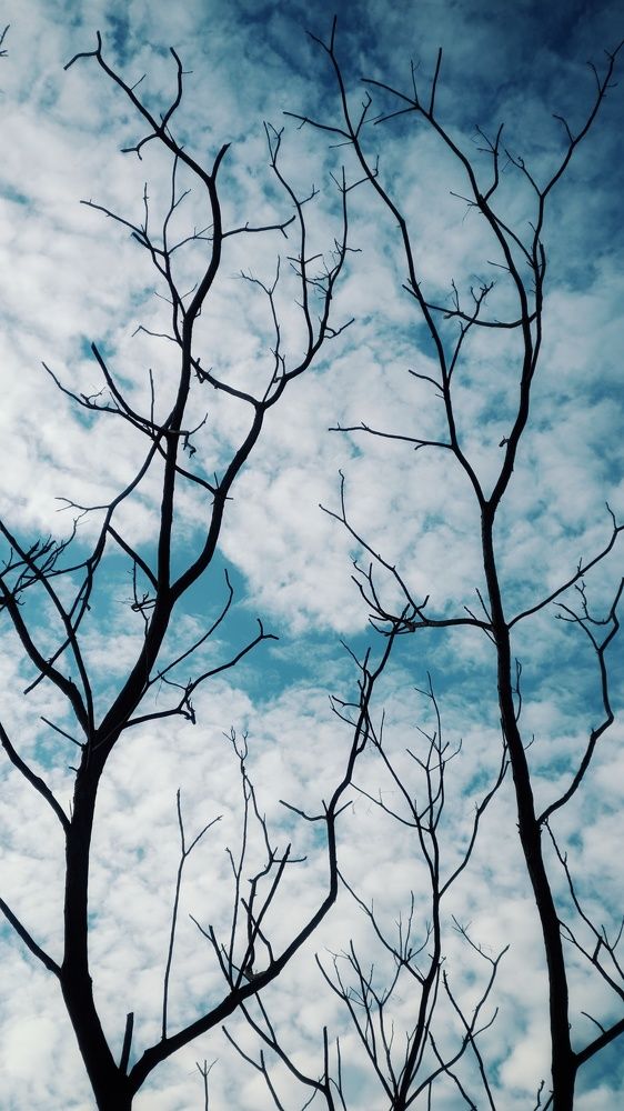 Photograph by Dương Nguyễn