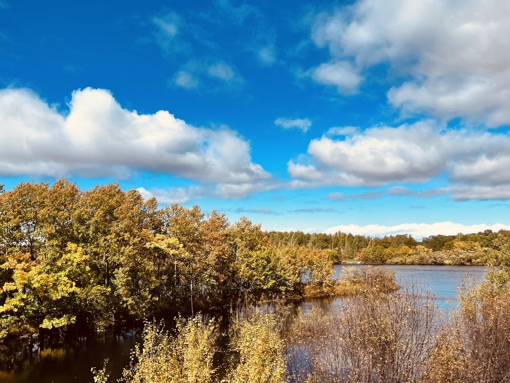 Осенний пейзаж