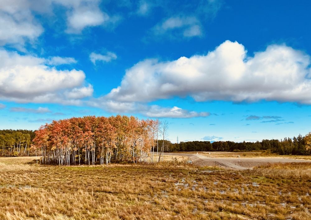 Дальневосточная природа