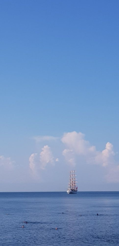 Фотография автора Ольга Мусина