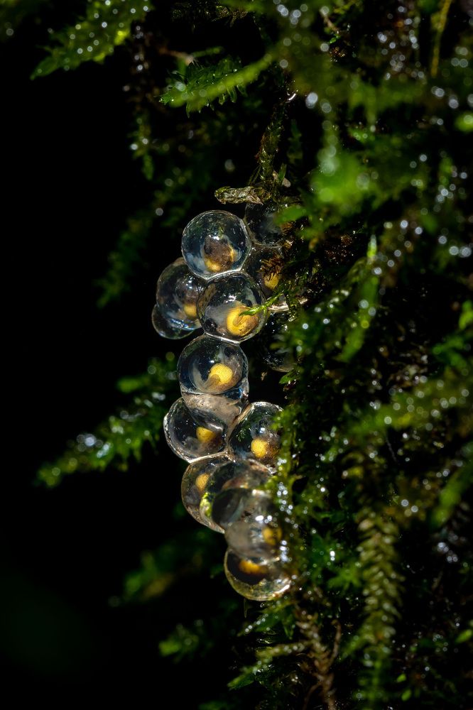 Photograph by Dhananjay Jadhav