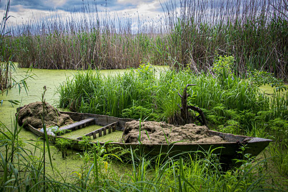 Photograph by Наталия Ковалева