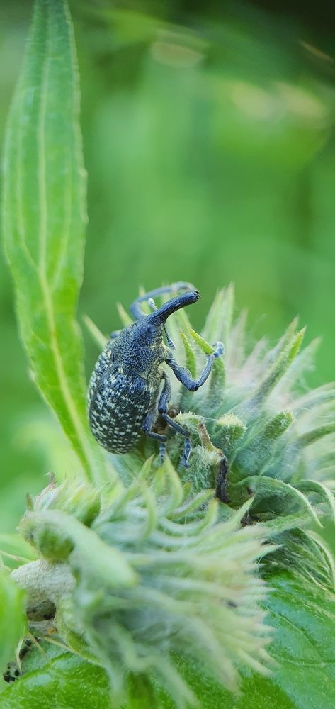 Photograph by ЕЛЕНА