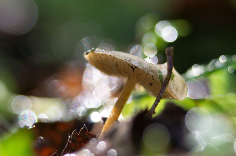 Photograph by Олег Каракин