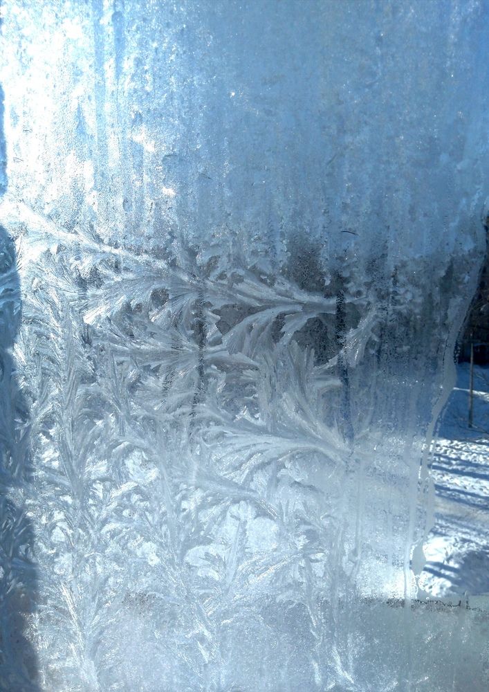 Фотография автора Елена Малкова