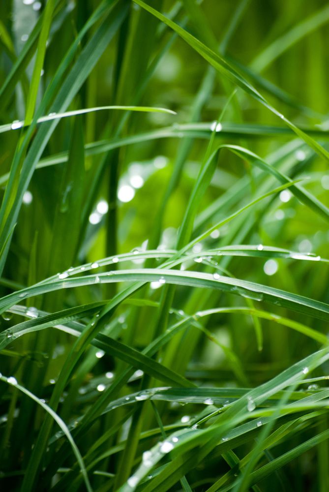 Photograph by Екатерина Екатерина