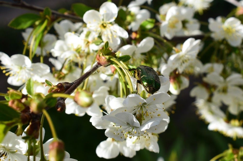 Photograph by Валерий Талейко